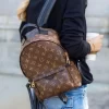 SPRINGS SMALL BACKPACK PM