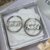 Circle Hollow Earrings