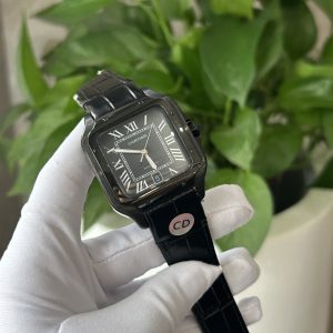 classic automatic movement watch